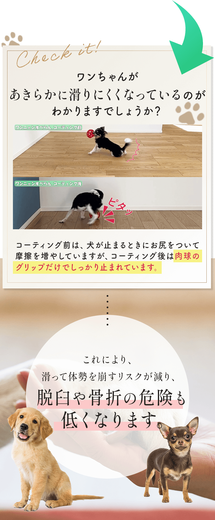 コーティング前は、犬が止まるときにお尻をついて摩擦を増やしていますが、コーティング後は肉球のグリップだけでしっかり止まれています。
  
          これにより、滑って体勢を崩すリスクが減り、脱臼や骨折の危険も低くなります。
          