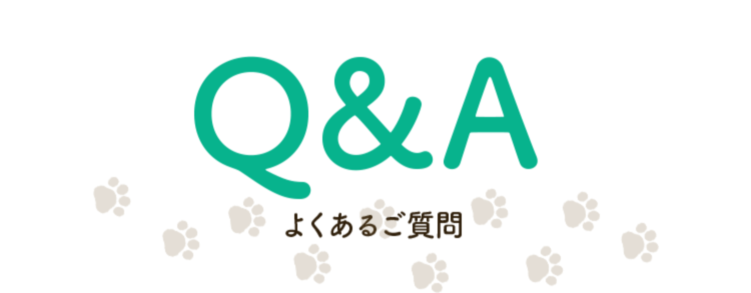 Q&A